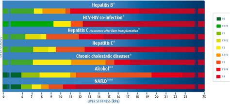 fibroscan score chart